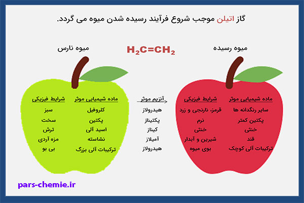 کاربرد اتیلن-پارس شیمی
